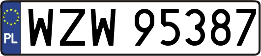 WZW95387