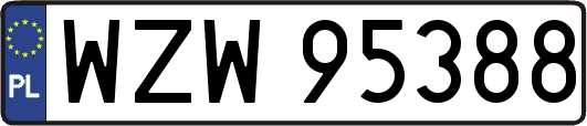 WZW95388