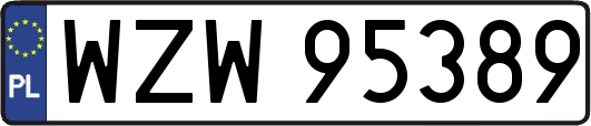WZW95389