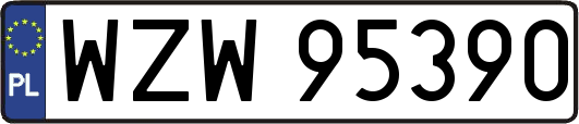 WZW95390