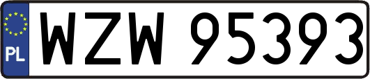 WZW95393
