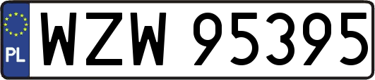 WZW95395
