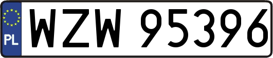 WZW95396