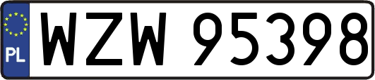 WZW95398