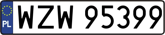 WZW95399