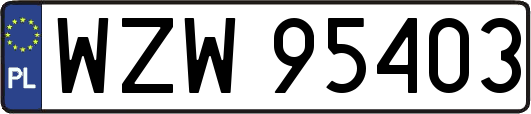 WZW95403