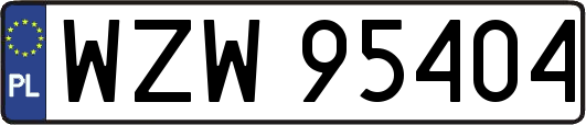 WZW95404