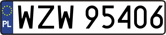WZW95406