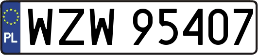 WZW95407