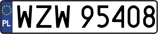 WZW95408
