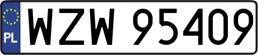 WZW95409
