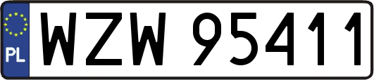 WZW95411