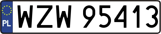 WZW95413