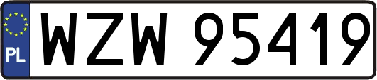 WZW95419