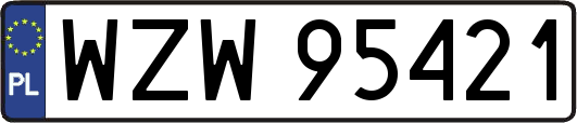 WZW95421
