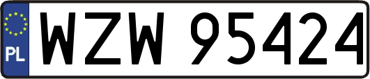 WZW95424