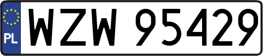 WZW95429