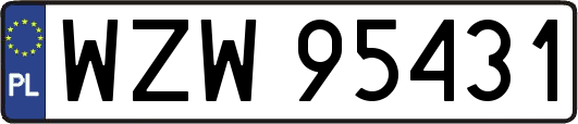 WZW95431