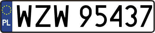 WZW95437