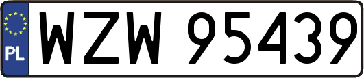 WZW95439