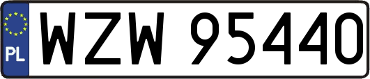 WZW95440