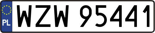 WZW95441