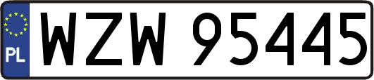 WZW95445