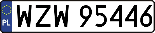 WZW95446