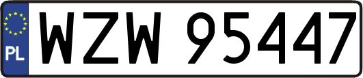 WZW95447