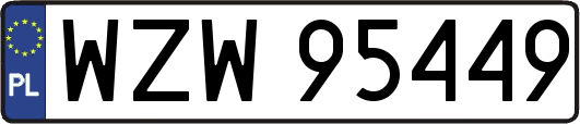 WZW95449