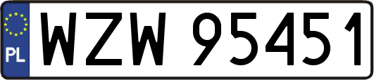 WZW95451
