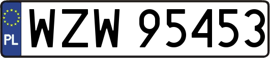 WZW95453