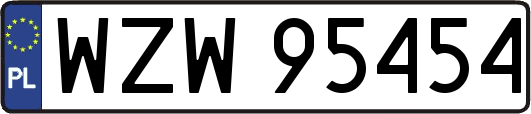 WZW95454