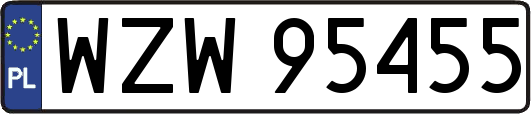 WZW95455