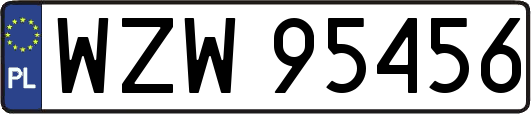 WZW95456
