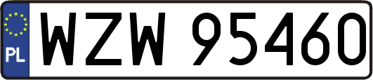 WZW95460