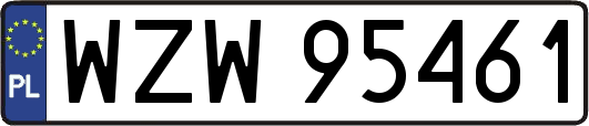 WZW95461
