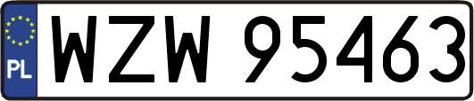 WZW95463