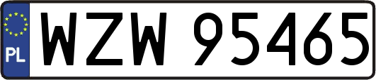 WZW95465