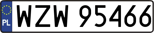 WZW95466