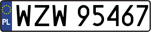 WZW95467