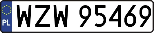 WZW95469