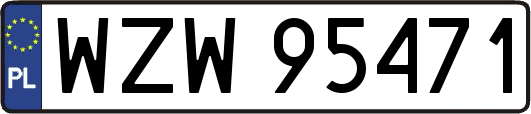 WZW95471