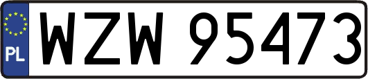 WZW95473