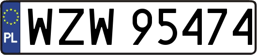WZW95474