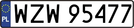 WZW95477