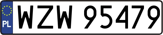 WZW95479