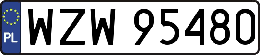 WZW95480