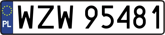 WZW95481