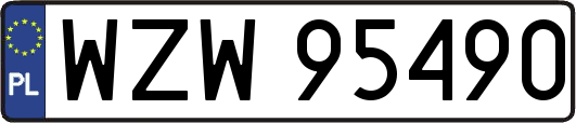 WZW95490